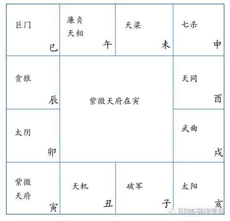 紫微斗數 身體部位